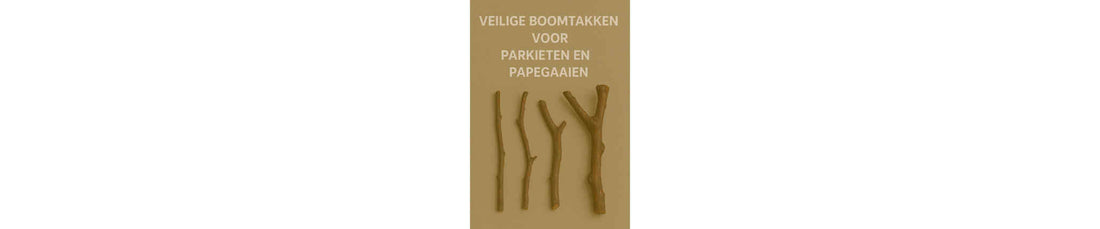 Veilige boomtakken voor parkieten en papegaaien