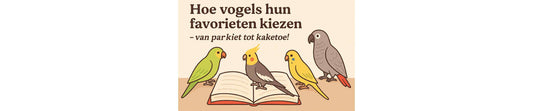 Hoe vogels hun favorieten kiezen – van parkiet tot kaketoe!
