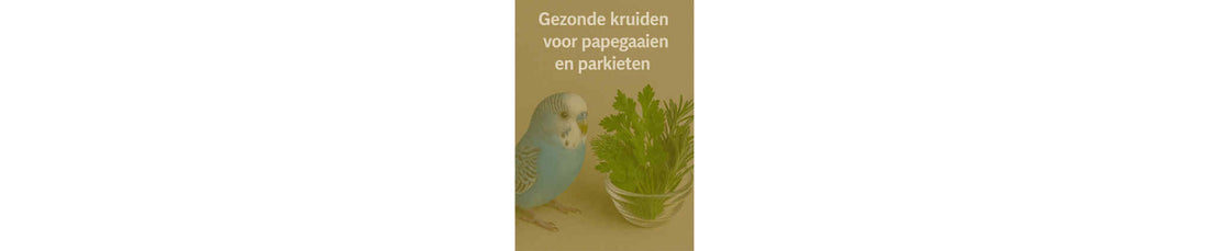 Gezonde kruiden voor papegaaien en parkieten