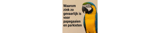 Waarom zink zo gevaarlijk is voor je papegaai