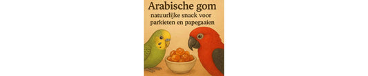 parkieten en papegaaien Arabische Gom