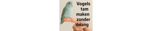 Vogels tam maken zonder dwang – veilige, positieve aanpak