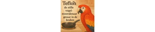 PTFE/Teflon: de stille vogelmoordenaar – gevaar in de keuken
