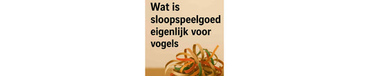 Wat is sloop-speelgoed eigenlijk?