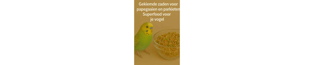Gekiemde Zaden voor Papegaaien en Parkieten: Superfood voor je Vogel!