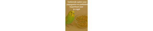 Gekiemde Zaden voor Papegaaien en Parkieten: Superfood voor je Vogel!