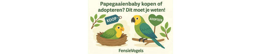 Baby of adoptie papegaai in huis nemen