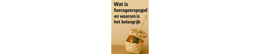 Wat is foerageerspeelgoed en waarom is het belangrijk?