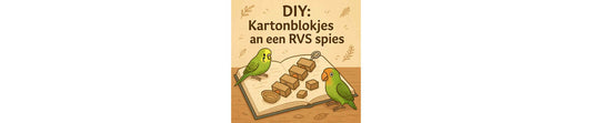 Kartonblokjes aan een RVS spies