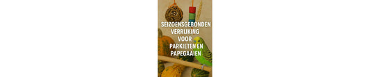 Seizoensgebonden verrijking voor parkieten & papegaaien – zomer & winter tips