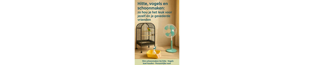 Hitte, vogels en schoonmaken: zo hou je het leuk voor jezelf én je gevederde vrienden