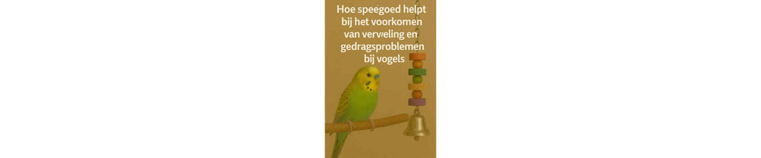 verkom verveling en gedragsproblemen bij je vogel