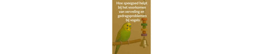 verkom verveling en gedragsproblemen bij je vogel