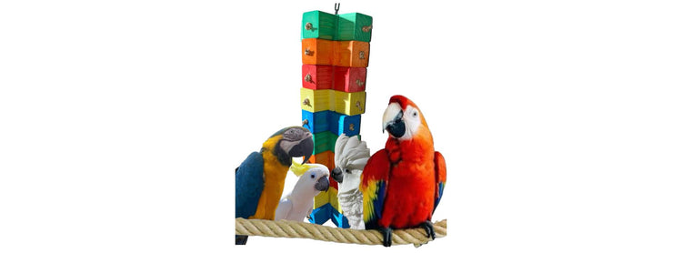 Grote papegaaien