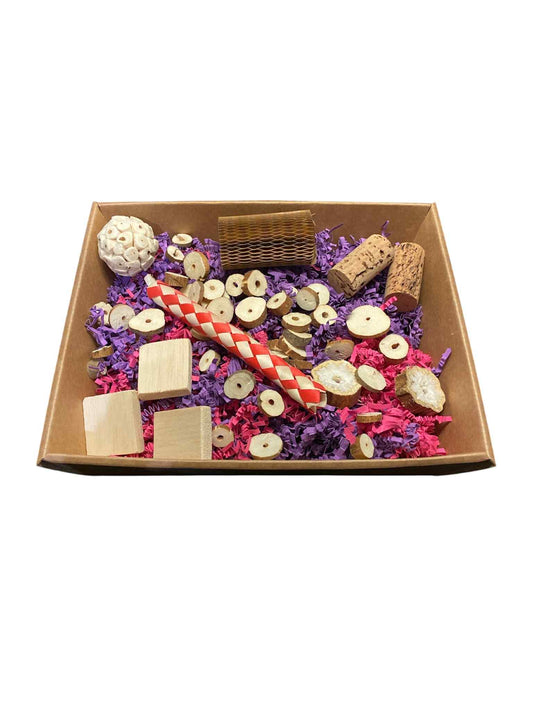 Kleurrijk Zoekavontuur – Foerageerbox