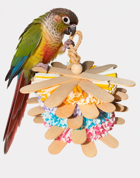 Fluffie – Kleurrijk Vogelspeelgoed