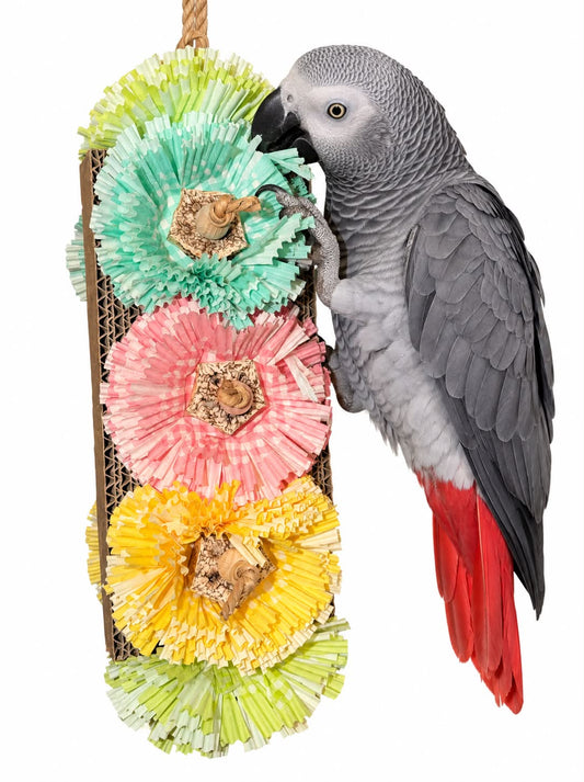 Fensie’s Sloopbloemen
