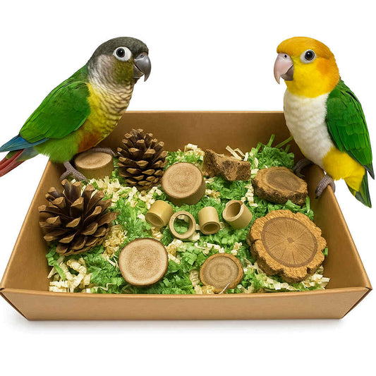 foerageerbox Bosrijk Avontuur – speelplezier recht uit de natuur!