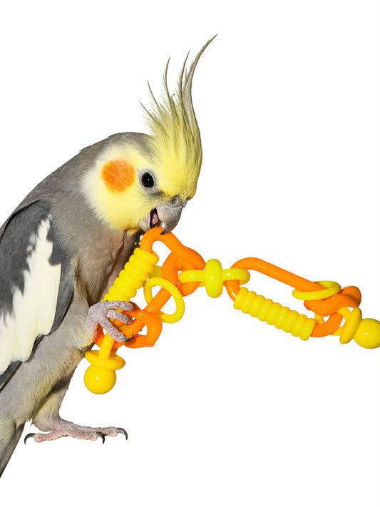 Twist & Tik – Parkieten Voetspeeltje