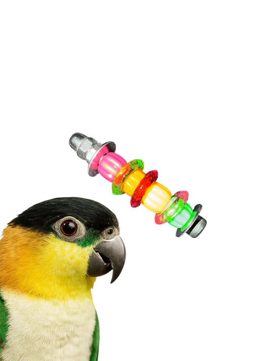 Acryl & RVS Voetspeeltje – Mini Regenboog