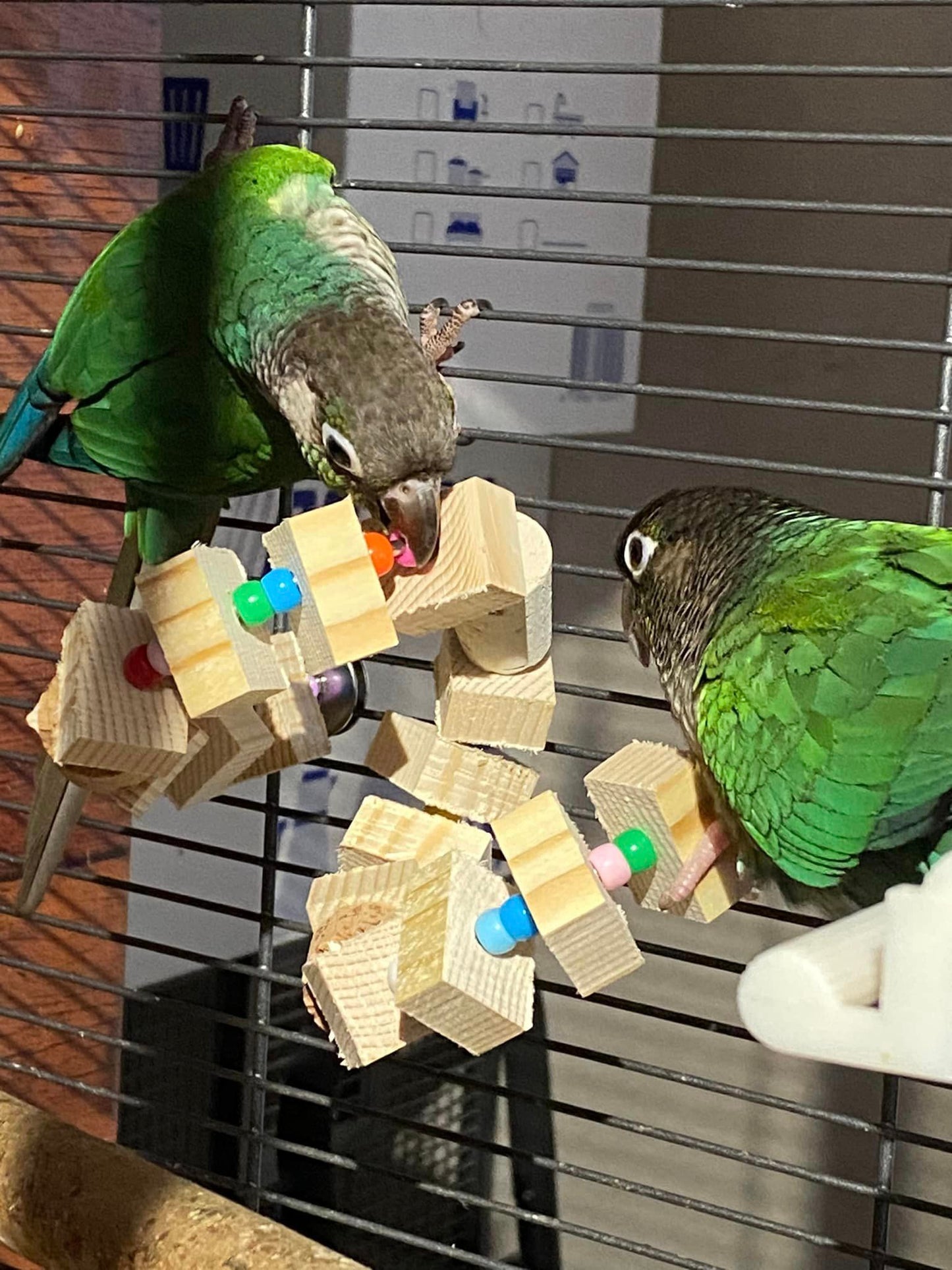 FensieVogels Parkieten Twister – Creatief Vogel Speelgoed