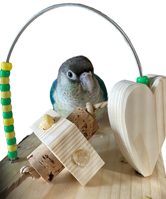 Fensie Gaten Blok – Creatief Vogel Speelgoedmateriaal