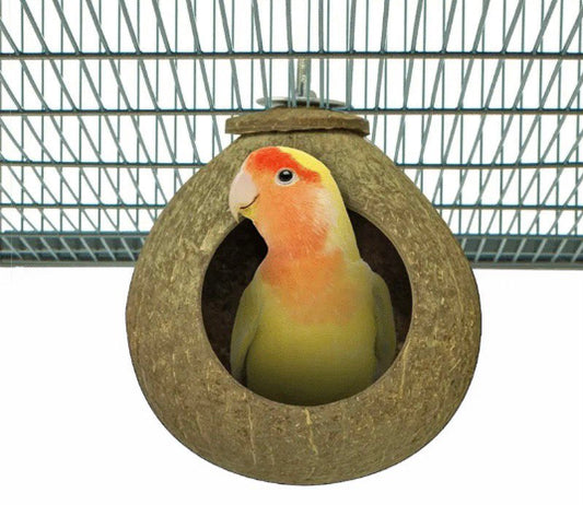 Back Zoo Nature Coconut House – Natuurlijk Vogelhuisje