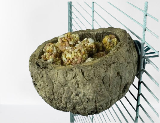 Back Zoo Nature Discovery Bowl – Natuurlijke Voerbak voor Vogels