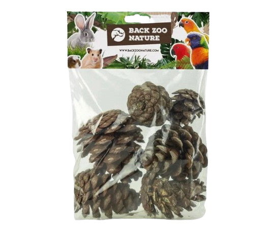 Back Zoo Nature Forest Pine Cones – Natuurlijk Foerageerspeelgoed voor Vogels en Knaagdieren