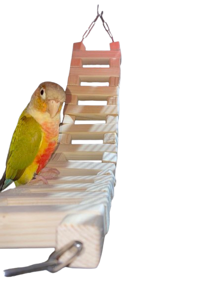 Stevige ladder met natuurlijke materialen