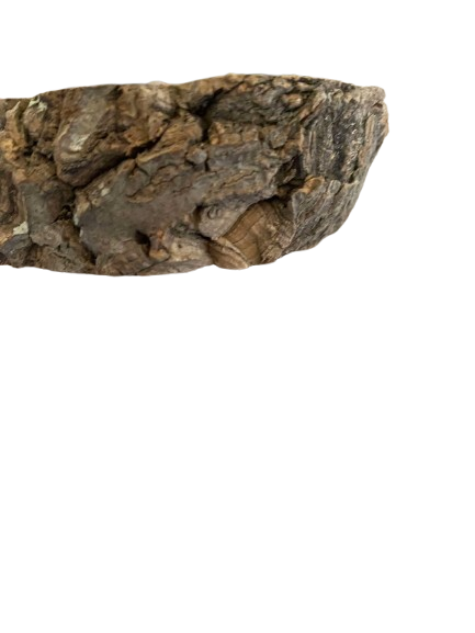 Rond Kurk Plateau – Natuurlijk rustplekje in de kooi