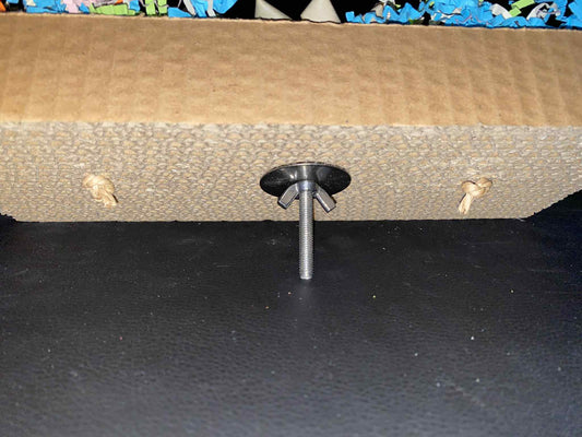 Foerageerfeest op Karton – kleurrijke ontdekkingstocht voor je vogelvriend