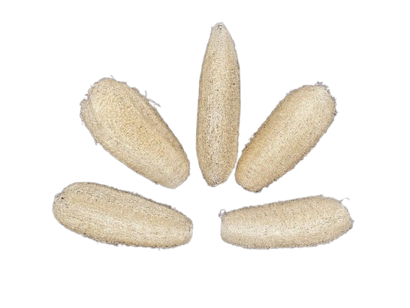 Loofah – Natuurlijk Speel- en Foerageermateriaal voor Vogels