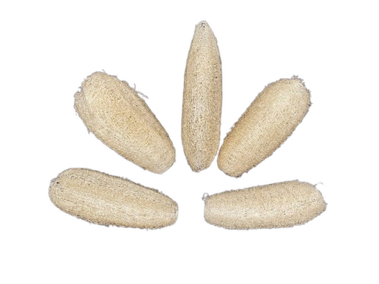 Loofah – Natuurlijk Speel- en Foerageermateriaal voor Vogels