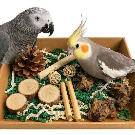 Foerageerbox voor papegaaien en parkieten