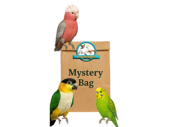 FensieVogels Mystery Bag – Durf jouw vogel vriendje het zakje zelf te openen?