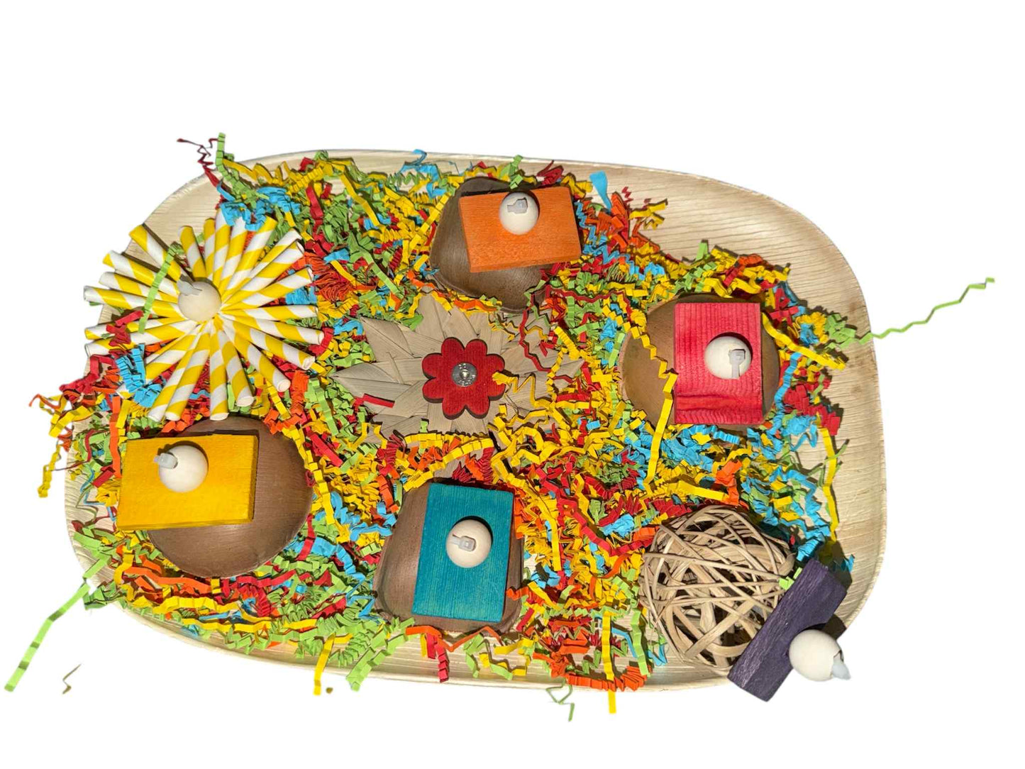 Foerageer & Speel Plateau – 35x24 cm (RVS Bevestiging)