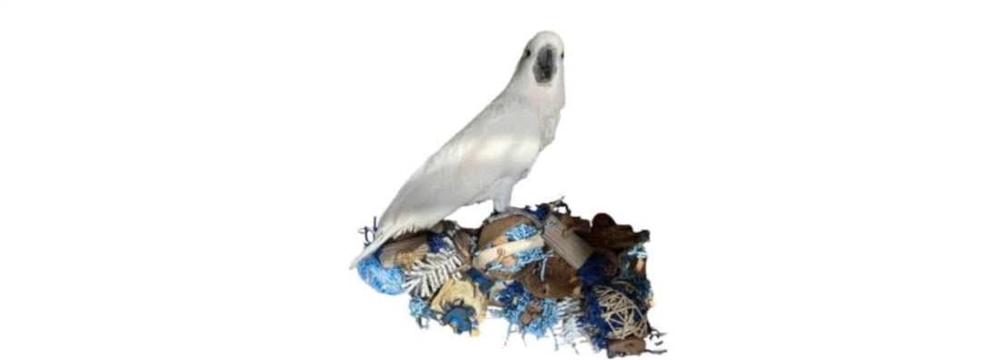 Veilig vogelspeelgoed met zorg gekozen materialen