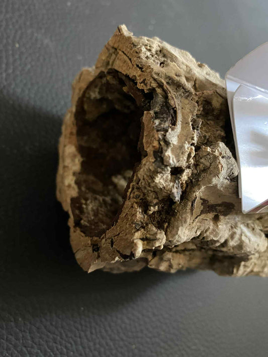 Back Zoo Nature Trunkhut Mini – Knusse Verstopplek van Natuurmateriaal