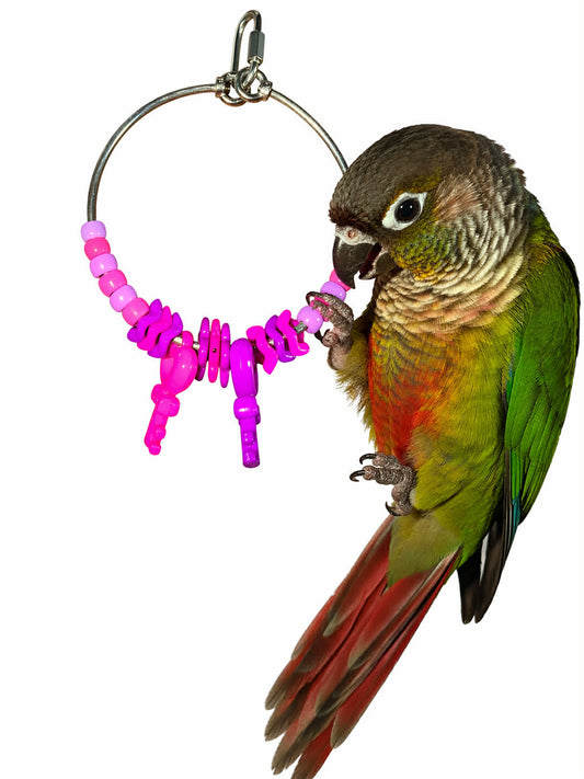 FensieVogels Power Ring – RVS & Acryl Roze/paars