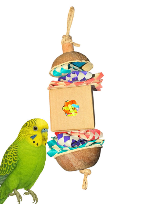 Mini Foerageer Surprise – Palm