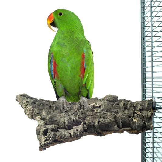 Back Zoo Nature Corky Chew Large – Kurk Plateau / zitplek voor papegaaien en parkieten