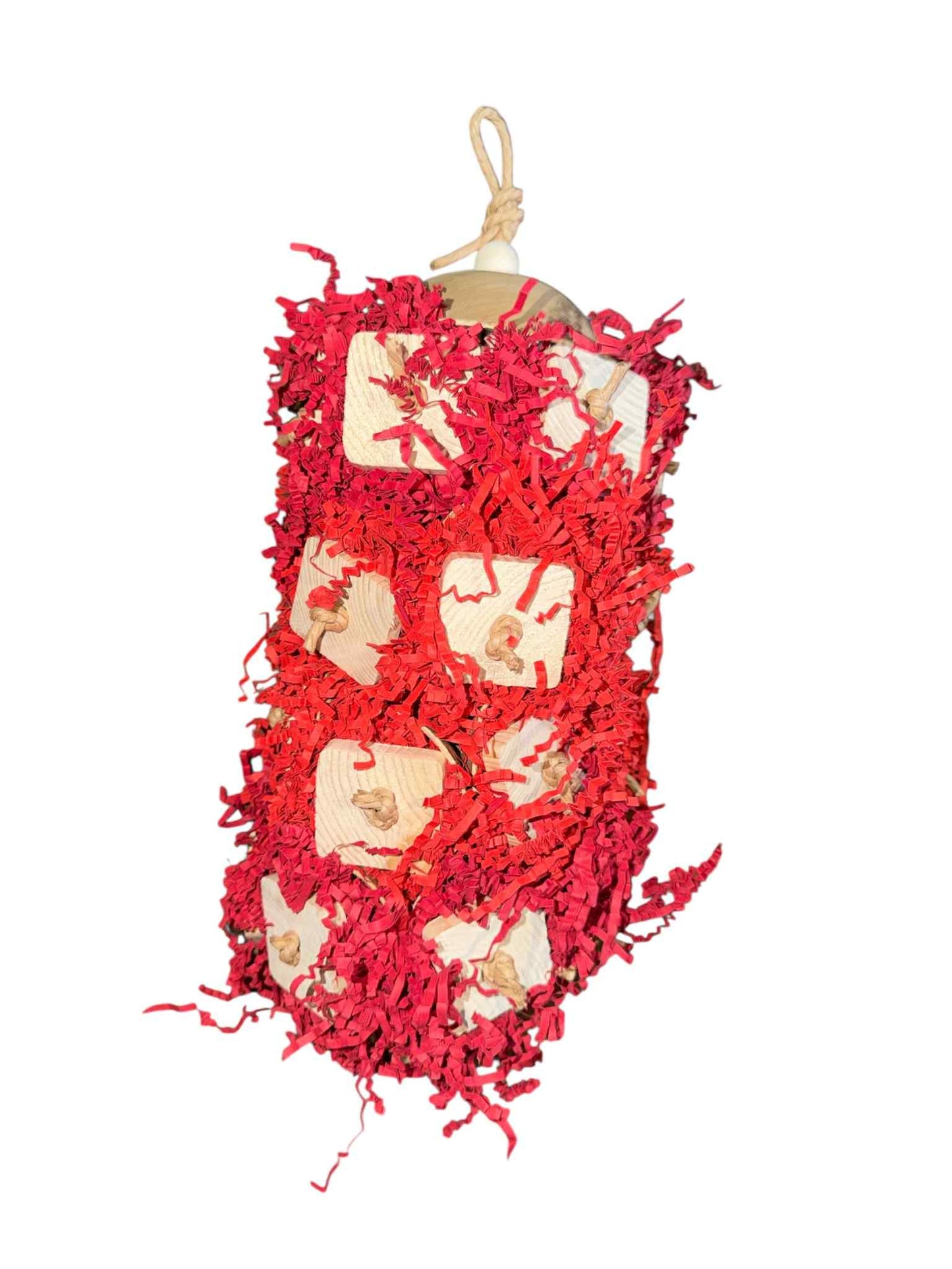 FensieVogels Special – rood Speelavontuur