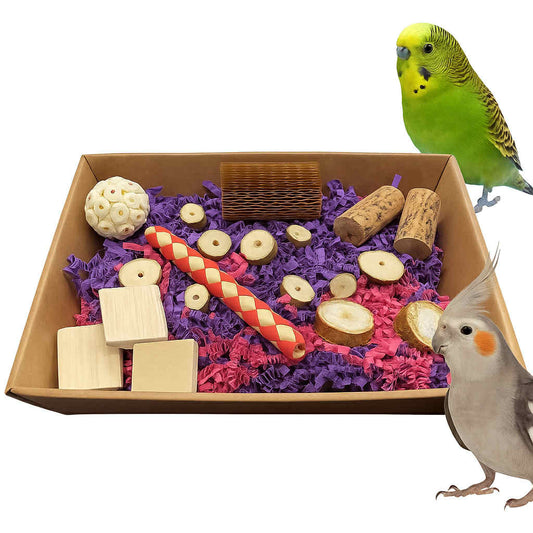 Foerageren Kleurrijk Zoekavontuur parkieten en papegaaien