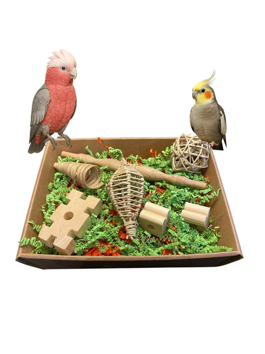 Foerageerplezier voor parkieten & papegaaien