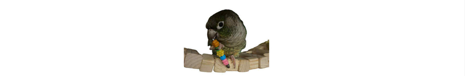 Vogelspeelgoed voor parkieten en papegaaien