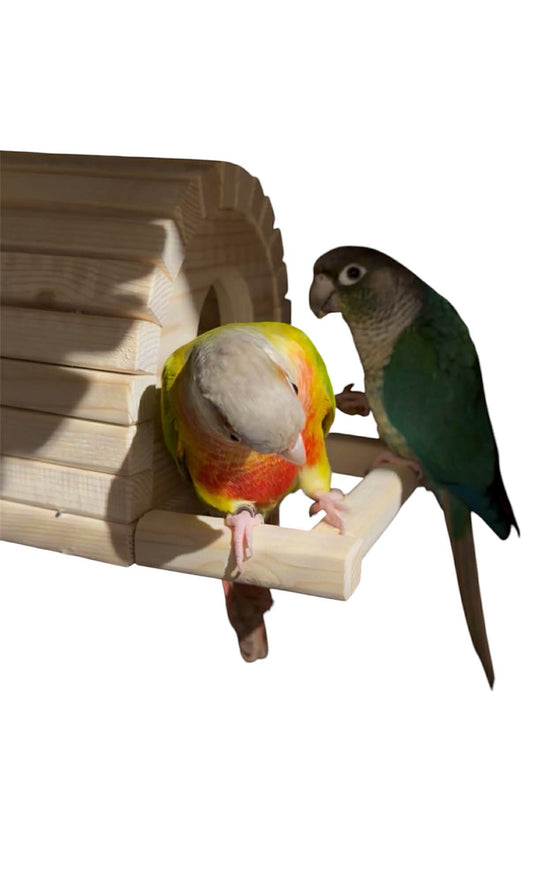 Slaaphuisje voor parkieten