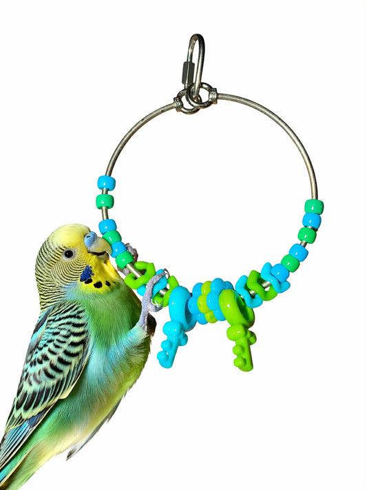 FensieVogels Power Ring – RVS & Acryl Groen/blauw