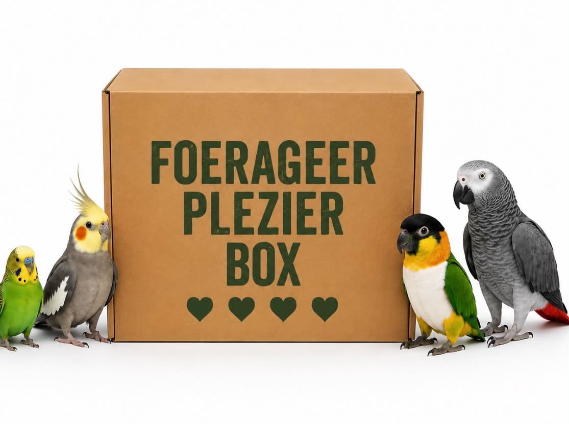 Foerageer Plezier box - 4