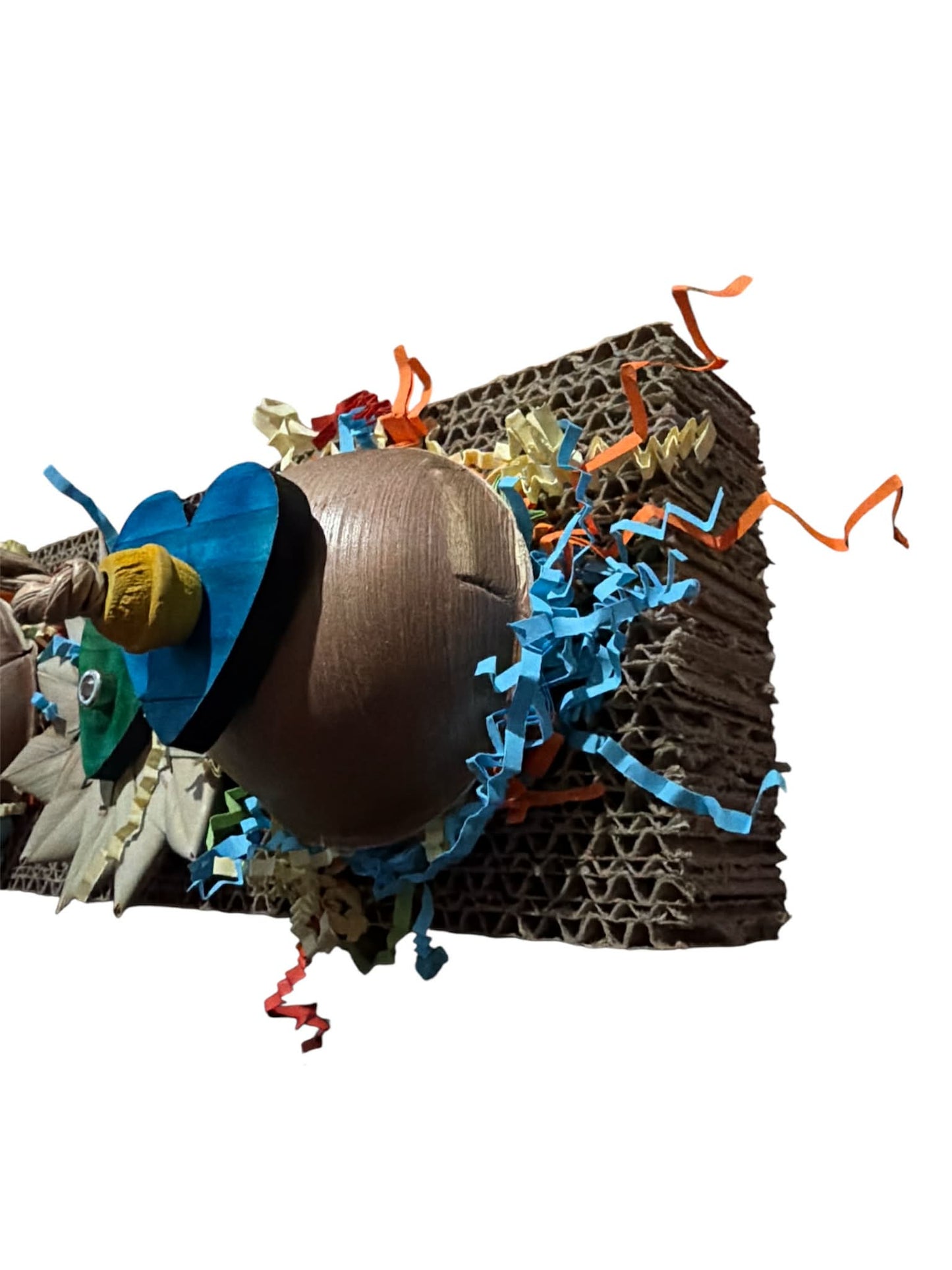 Foerageerfeest op Karton – kleurrijke ontdekkingstocht voor je vogelvriend